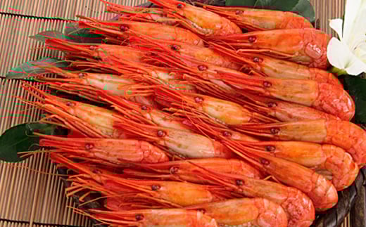 B-81003【12/17まで年内配送】 【北海道根室産】北海シマエビ400g(25～37尾)×2P(計800g)