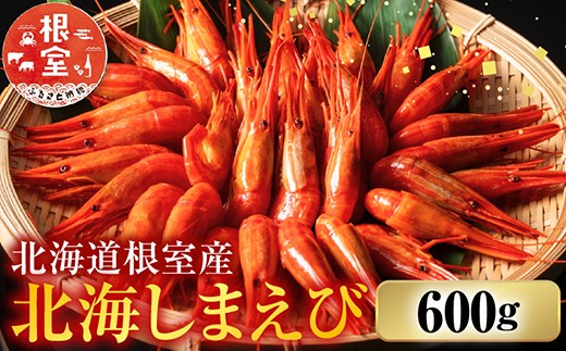 B-42086【12/21まで年内配送】 【北海道根室産】ボイル北海シマエビ600g