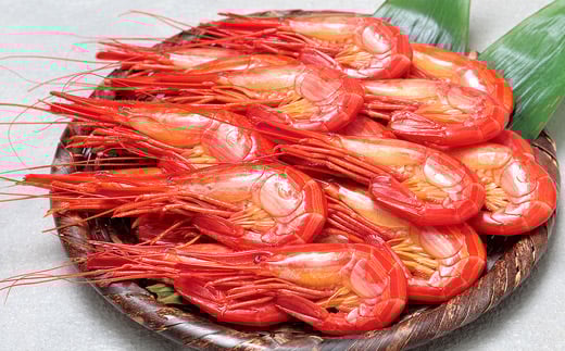 A-24012【12/17まで年内配送】 【北海道根室産】北海しまえび400g(19～24尾)