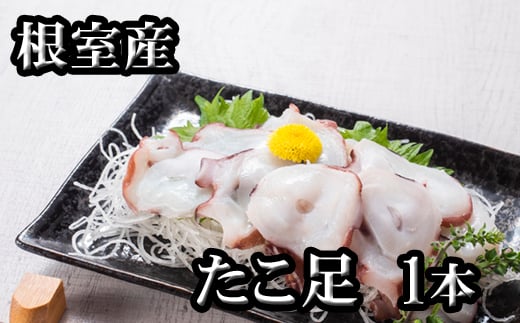 G-70008【12/21まで年内配送】 【北海道根室産】たこ足500g前後～800g前後×1本