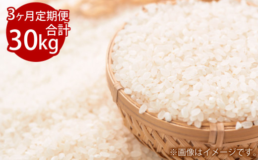 【3ヵ月定期便】3回連続 岡山県倉敷市産 きぬむすめ 10kg 白米 計30kg【2025年10月より1回目発送開始】