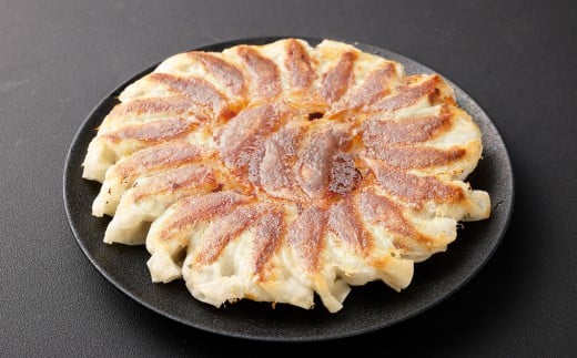 倉敷ぎょうざ本舗 倉敷ぎょうざ 80個 20ヶ入×４パック タレ付き 【餃子 ぎょうざ ギョウザ 岡山県 倉敷市 おすすめ 人気】