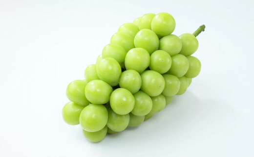 【先行予約】シャインマスカット 晴王 2房 1.2kg以上 【2025年9月上旬-12月下旬 発送予定】【シャインマスカット シャイン マスカット 人気フルーツ 岡山フルーツ おすすめフルーツ 岡山県 倉敷市】