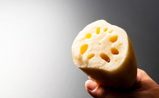 連島れんこん 家庭用 1節もの 5kg 【2025年9月上旬-2026年4月下旬 発送予定】