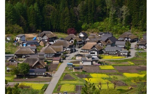 6.伝統的建造物群保存地区保存事業