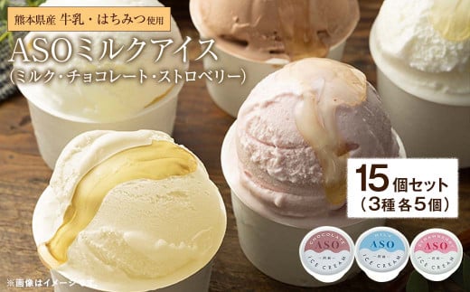 ASO ミルク アイス (阿蘇はちみつ入り) 3種 15個セット (ミルク チョコレート ストロベリー 各5個)