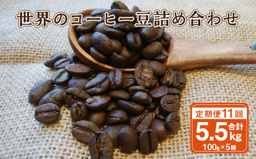 【11ヶ月定期便】世界のコーヒー豆詰め合わせ 500g (100g×5種) コーヒー 珈琲 豆 セット