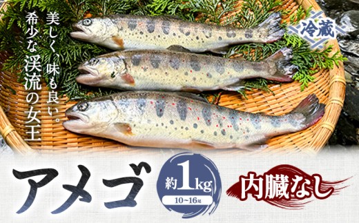 アメゴ 約1kg  内臓 なし 木屋平淡水養魚場《4月上旬-10月下旬頃出荷(土日祝除く)》 【配送不可地域あり】※北海道・沖縄・離島　徳島県 美馬市 川魚 アメゴ あまご 塩焼き 唐揚げ 送料無料