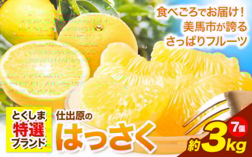 八朔 はっさく 約3kg 7個《2026年2月上旬‐2026月3月上旬頃出荷》仕出原八朔生産組合 八朔 大玉 はっさく 果物 くだもの フルーツ 特選 ゼリー ジュース ピール 徳島県 美馬市 st-p