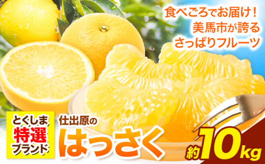 【先行予約】八朔 はっさく 10kg  仕出原八朔生産組合《2027年2月上旬‐3月上旬頃出荷》 徳島県 美馬市 果物 くだもの フルーツ 特選 ゼリー ジュース ピール　 八朔 10kg 八朔 大玉 八朔 10kg 園 八朔 10kg 農園 八朔 10kg 大玉 st-p