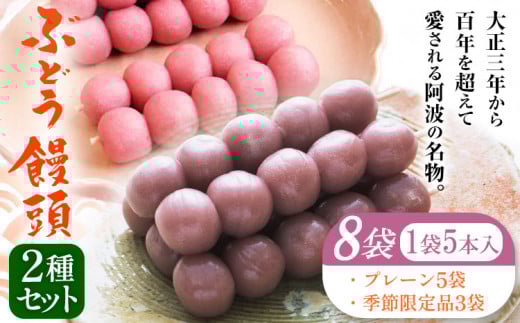 ぶどう饅頭 2種セット 8袋入り 有限会社日乃出本店 《30日以内に出荷予定(土日祝除く)》 徳島県 阿波 ブドウ 饅頭 飴 自家製あん プレーン 季節限定品老舗 和菓子 剣山 穴吹川 贈り物 衛生的 個包装 環境保護 品質保持  st-p