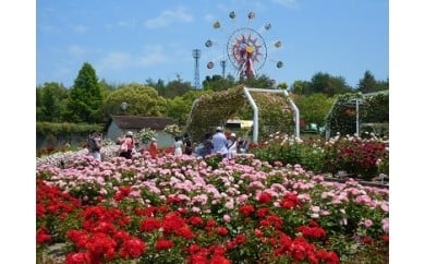 蜂ヶ峯総合公園利用券 6,000円分
