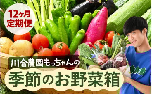 定期便 ≪12ヶ月連続お届け≫ 川合農園もっちゃん季節のお野菜お届け箱 ～季節の野菜や果実を毎月7品種前後お届けします！～ 【野菜 やさい 野菜セット 詰め合わせ おまかせ 新鮮 旬 定期便 12回 産地直送】 [K-7501]