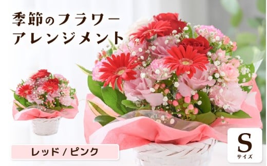 選べるカラー 季節のフラワーアレンジメント S (レッド・ピンク) 【お花 フラワー アレジメント 花束 ギフト 生花 プレゼント 花束 花 記念日 お祝い】 [A-20701_01]