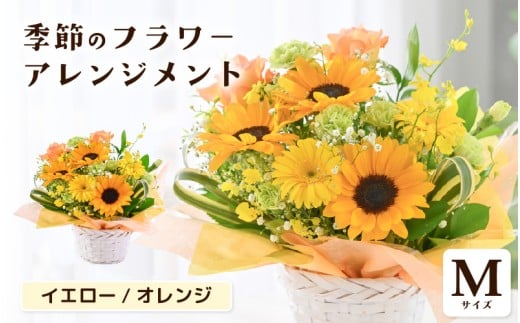 選べるカラー 季節のフラワーアレンジメント M (イエロー・オレンジ) 【お花 フラワー アレジメント 花束 ギフト 生花 プレゼント 花束 花 記念日 お祝い】 [A-20702_02]