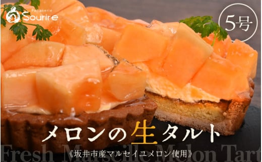 【先行予約】【数量限定】サクサク食感 マルセイユメロンのフレッシュタルトケーキ 5号：直径15cm (4〜5人前) 850g 【2026年6月より順次発送】【メロン めろん ケーキ メロンケーキ ホール たると スイーツ デザート 果物 フルーツケーキ 洋菓子 贈答 ギフト】 [A-5205]