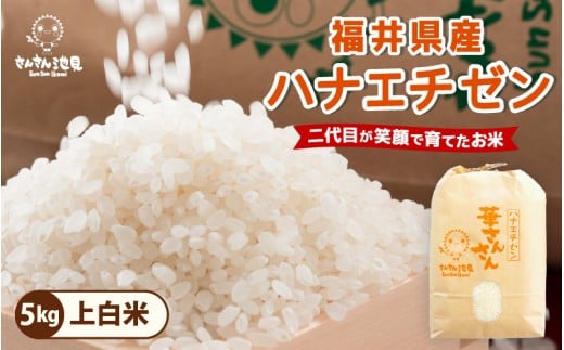 【令和7年産・新米】ハナエチゼン 5kg 華越前 ～坂井市三国町産・こだわりの精米対応～（上白米） [A-0255_01]