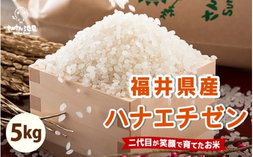 [先行予約][令和7年産・新米]ハナエチゼン 5kg 華越前 〜坂井市三国町産・こだわりの精米対応〜(無洗米)[2025年8月下旬以降順次発送予定] [A-0255_05]