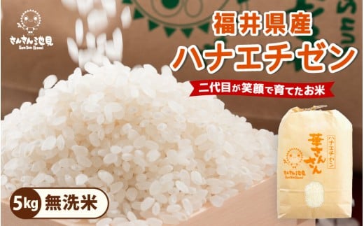 【令和7年産・新米】ハナエチゼン 5kg 華越前 ～坂井市三国町産・こだわりの精米対応～（無洗米） [A-0255_05]