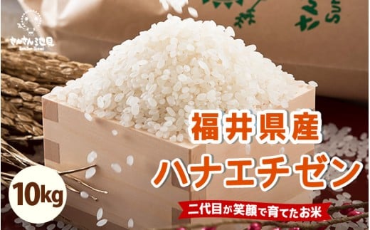 [先行予約][令和7年産・新米]さんさん池見二代目の 福井県産 ハナエチゼン 10kg 華越前 (無洗米)[2025年8月下旬以降順次発送予定] [C-0213_05]