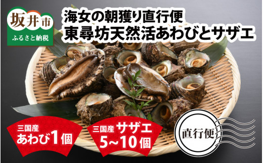 【先行予約】 海女の朝獲り直行便 東尋坊天然活あわびとサザエ 【2026年7月上旬より順次発送予定】 【アワビ あわび さざえ 栄螺 貝 天然 魚貝 海産物 海鮮 鮮魚 刺身 BBQ 国産 産地直送】[E-6001]