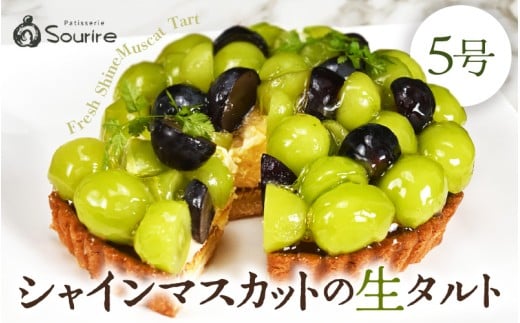 【先行予約】【数量限定】サクサク食感 シャインマスカットのフレッシュタルトケーキ 5号：直径15cm (4〜5人前) 850g 【2025年12月発送】 【シャインマスカット マスカット ますかっと ケーキ マスカットケーキ ホール たると スイーツ デザート 果物 フルーツケーキ 洋菓子 贈答 ギフト】 [A-5207_12]