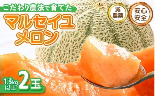 【先行予約】 安心安全！減農薬！こだわり農法で育てたマルセイユメロン 2玉  (1玉あたり：1.3kg以上) 【2026年6月中旬以降順次発送予定】 【メロン めろん 赤肉 フルーツ デザート 果物 くだもの 果実 糖度 甘い 産地直送 国産】 [A-21212]