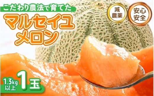 【先行予約】 安心安全！減農薬！こだわり農法で育てたマルセイユメロン 1玉  (1玉あたり：1.3kg以上) 【2026年6月中旬以降順次発送予定】 【メロン めろん 赤肉 フルーツ デザート 果物 くだもの 果実 糖度 甘い 産地直送 国産】 [A-21210]