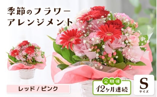 定期便 ≪12ヶ月連続お届け≫ 選べるカラー 季節のフラワーアレンジメント S (レッド・ピンク) 【お花 フラワー アレジメント 花束 ギフト 生花 プレゼント 花束 花 記念日 敬老の日 お祝い】 [I-20701_01]
