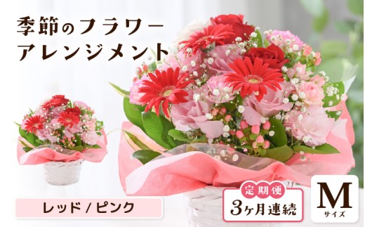 定期便 ≪3ヶ月連続お届け≫ 選べるカラー 季節のフラワーアレンジメント M (レッド・ピンク) 【お花 フラワー アレジメント 花束 ギフト 生花 プレゼント 花束 花 記念日 敬老の日 お祝い】 [C-20701_01]