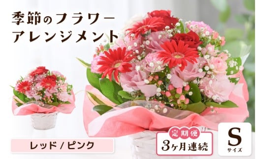 定期便 ≪3ヶ月連続お届け≫ 選べるカラー 季節のフラワーアレンジメント S (レッド・ピンク) 【お花 フラワー アレジメント 花束 ギフト 生花 プレゼント 花束 花 記念日 敬老の日 お祝い】 [B-20702_01]