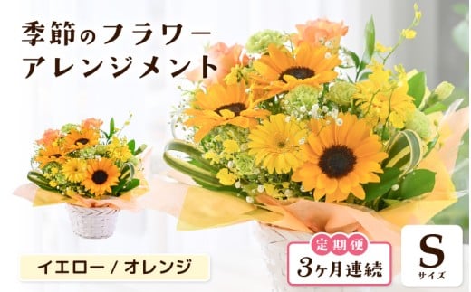 定期便 ≪3ヶ月連続お届け≫ 選べるカラー 季節のフラワーアレンジメント S ( イエロー・オレンジ) 【お花 フラワー アレジメント 花束 ギフト 生花 プレゼント 花束 花 記念日 敬老の日 お祝い】 [B-20702_02]
