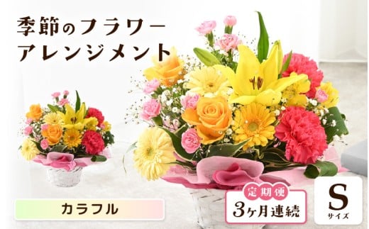 定期便 ≪3ヶ月連続お届け≫ 選べるカラー 季節のフラワーアレンジメント S ( カラフル) 【お花 フラワー アレジメント 花束 ギフト 生花 プレゼント 花束 花 記念日 敬老の日 お祝い】 [B-20702_03]