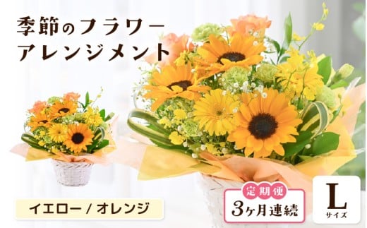 定期便 ≪3ヶ月連続お届け≫ 選べるカラー 季節のフラワーアレンジメント L (イエロー・オレンジ) 【お花 フラワー アレジメント 花束 ギフト 生花 プレゼント 花束 花 記念日 敬老の日 お祝い】 [E-20701_02]