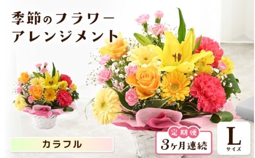 定期便 ≪3ヶ月連続お届け≫ 選べるカラー 季節のフラワーアレンジメント L (カラフル) 【お花 フラワー アレジメント 花束 ギフト 生花 プレゼント 花束 花 記念日 敬老の日 お祝い】 [E-20701_03]