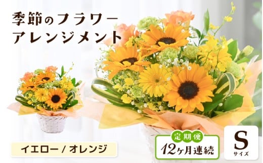 定期便 ≪12ヶ月連続お届け≫ 選べるカラー 季節のフラワーアレンジメント S (イエロー・オレンジ) 【お花 フラワー アレジメント 花束 ギフト 生花 プレゼント 花束 花 記念日 敬老の日 お祝い】 [I-20701_02]