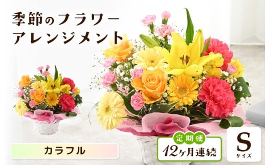 定期便 ≪12ヶ月連続お届け≫ 選べるカラー 季節のフラワーアレンジメント S (カラフル) 【お花 フラワー アレジメント 花束 ギフト 生花 プレゼント 花束 花 記念日 敬老の日 お祝い】 [I-20701_03]