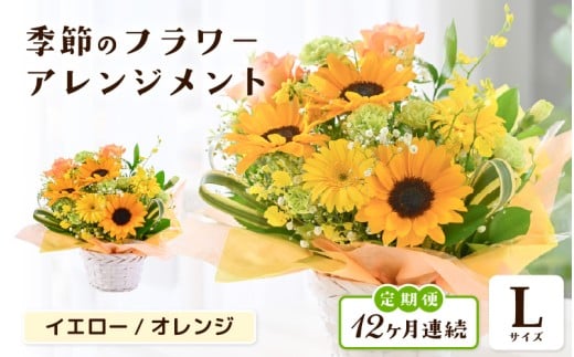 定期便 ≪12ヶ月連続お届け≫ 選べるカラー 季節のフラワーアレンジメント L (イエロー・オレンジ) 【お花 フラワー アレジメント 花束 ギフト 生花 プレゼント 花束 花 記念日 敬老の日 お祝い】 [O-20701_02]