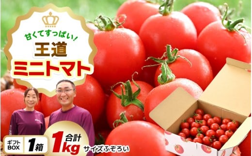 甘くて酸っぱい王道ミニトマト☆たっぷり1kg【とまと トマト ミニトマト 野菜 生野菜 美容 健康 新鮮 産地直送 贈答 ギフト 国産】 [A-2612]