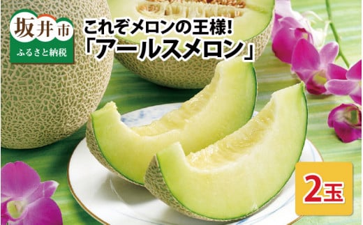 【先行予約】これぞメロンの王様！ 「アールスメロン」 2玉 化粧箱入り 【2026年9月中旬以降順次発送予定】【メロン めろん フルーツ デザート 果物 くだもの 果実 青肉 糖度 甘い ジューシー お取り寄せ グルメ 産地直送】  [A-1002]