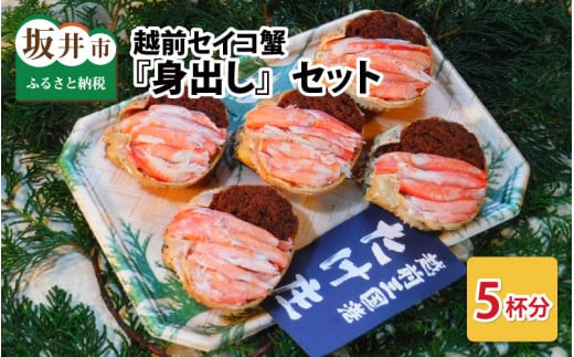 【先行予約】越前セイコ蟹『身出し』セット 5杯分【2025年11月～2026年1月発送予定】【三国 坂井市 せいこがに セイコガニ ズワイガニ ずわい蟹 かに 殻むき不要】 [G-1604]