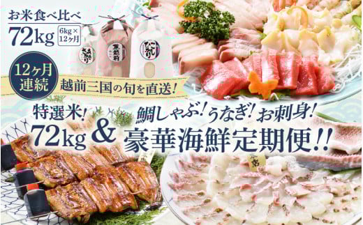 【12ヶ月定期便ダブル！】特選米12回！海鮮12回の計24回！！ 特選米72kg ＆ 鯛しゃぶ！ うなぎ！ お刺身 豪華海鮮定期便＜極＞ [T-1602]
