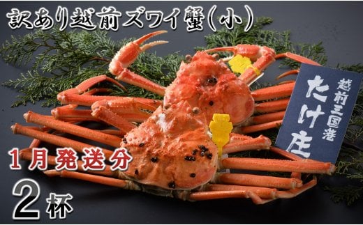 【電話連絡で安心】訳あり≪茹で≫越前ズワイ蟹(小) 2杯 【2026年1月発送分】 [D-1601_01]
