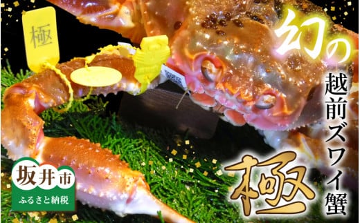 【電話連絡で安心】特 上 特 級 越前ズワイ蟹 『極』 1杯 ※活状態で1.5kg以上 《2025年11月分 各月数量限定》[W-1603_11]
