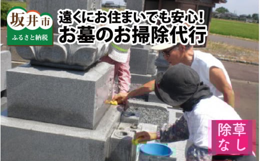 遠くにお住まいでも安心！ お墓のお掃除代行 【1回1基あたり2坪（6.6平米）の範囲まで・除草なし】  [A-11471]