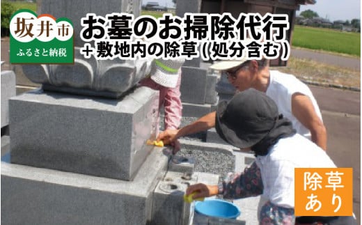 遠くにお住まいでも安心！ お墓のお掃除代行 【1回1基あたり2坪（6.6平米）の範囲まで】 ＋ 敷地内の除草（処分含む）  [B-11472]