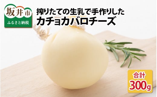 搾りたての生乳で手作りした、カチョカバロチーズ 2個詰め合わせ（プレーン）【チーズ ちーず イタリア系チーズ 生乳 しぼりたて 熟成 ミルク 発酵食品 乳製品 加工食品 おつまみ おかず 手作り 冷蔵 アレンジ 越前チーズ工房 国産】 [A-11904]