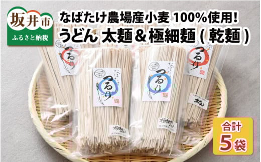 美味しさにつるり！！なばたけ農場産小麦100％ うどん（乾麺）太麺 250g × 3袋 & 極細麺 250g × 2袋  [A-13604]