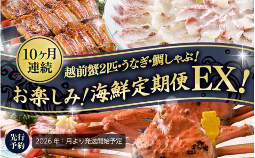 【先行予約】【1月から10ヶ月お届け】≪茹で≫越前蟹2匹・うなぎ・鯛しゃぶ！お楽しみ！海鮮定期便EX！【2026年1月より発送開始予定】[S-1604]