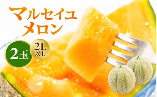 【先行予約】【数量限定】 マルセイユメロン 2Lサイズ以上 × 2玉 (1玉あたり：約1.05～1.5kg) 福井県三里浜産 糖度15度 【2026年6月上旬より順次発送】 【 メロン 先行予約 めろん フルーツ 期間限定 数量限定 旬 デザート 果物 くだもの 果実 赤肉 糖度 甘い ジューシー お取り寄せ グルメ 産地直送 ギフト 】 [A-16510]
